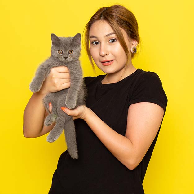 PetCon 2025 - Puppy_Atlas_India_Cat_Show