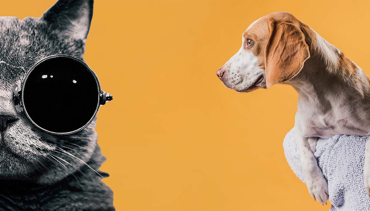 Petcon_India_Puppy_Atlas