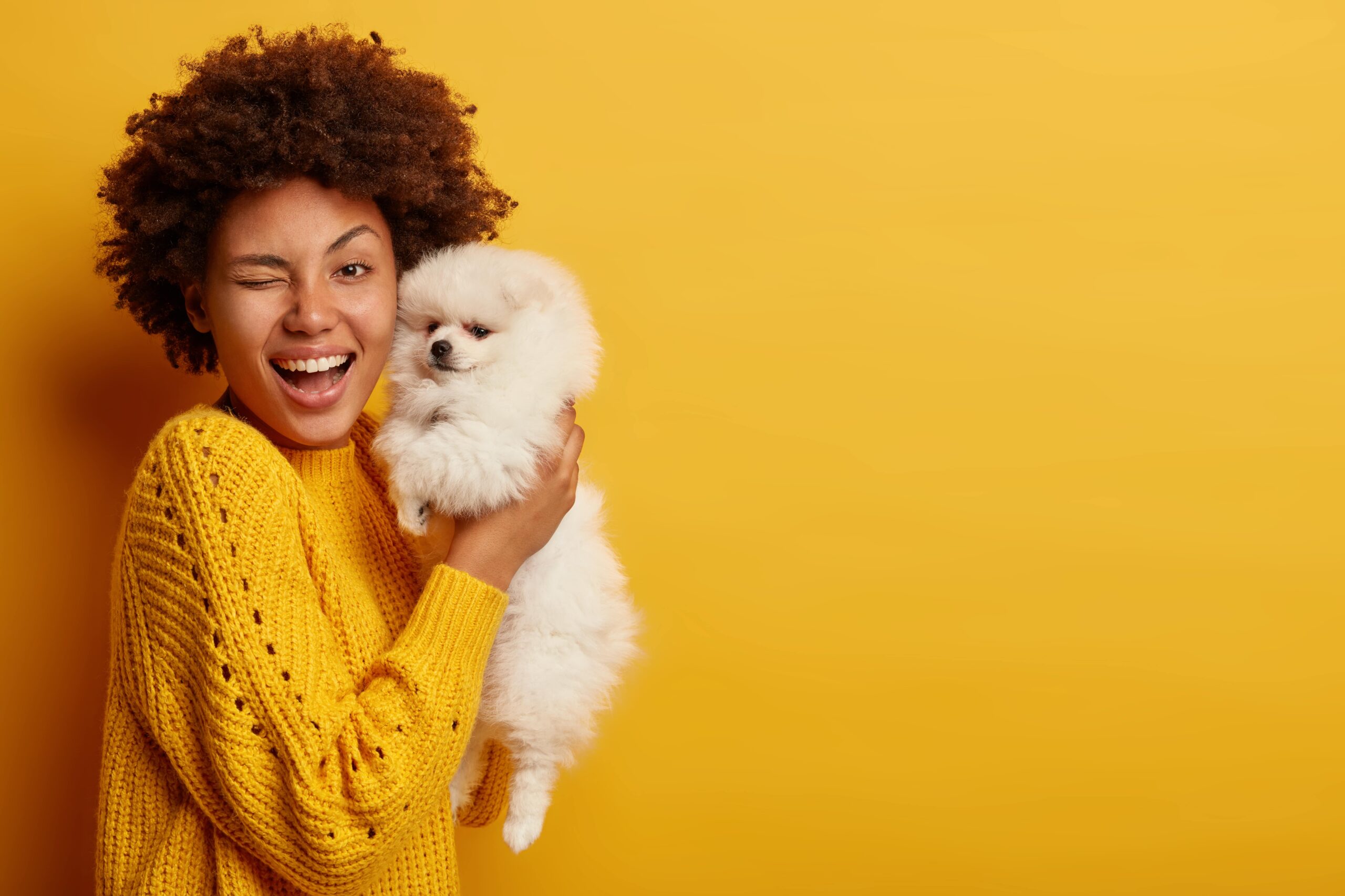 PetCon_India_PuppyAtlas